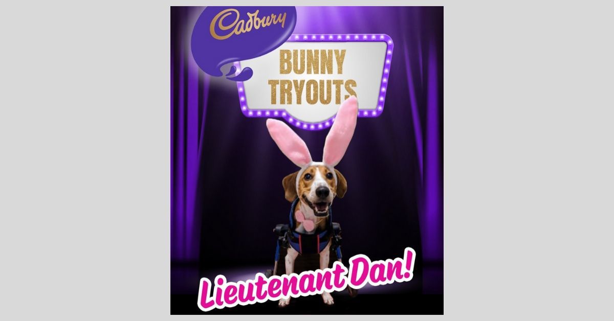 cadbury lieutenant dan.jpg